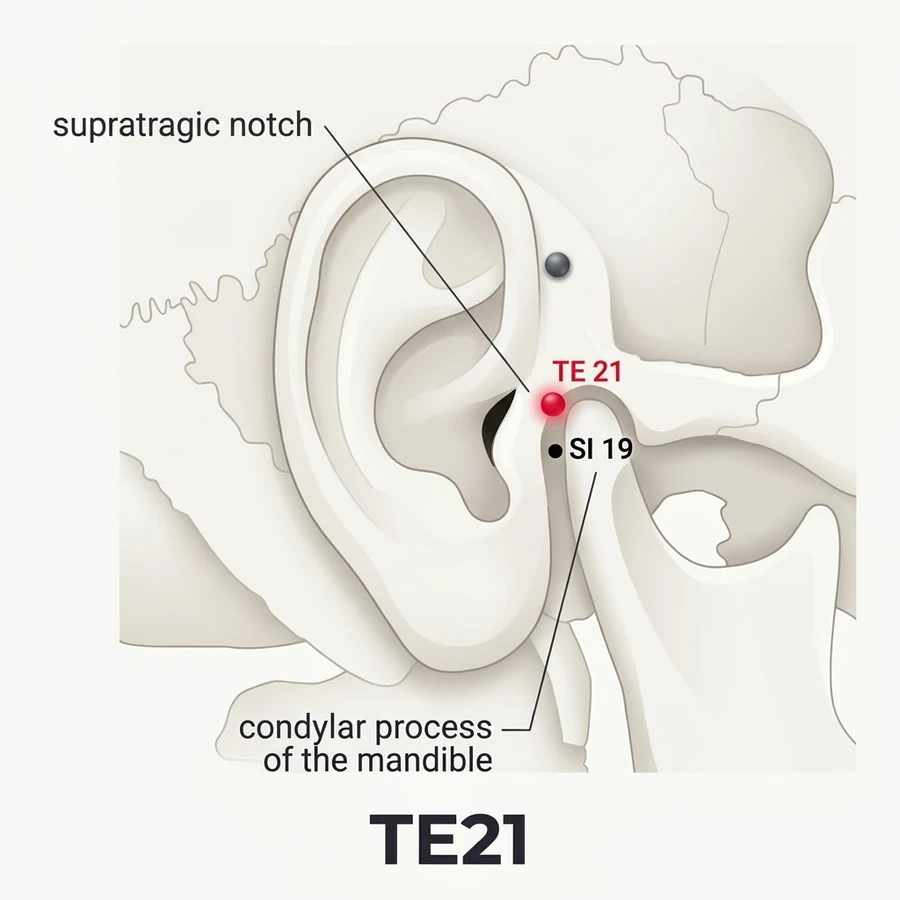 Location of Ermen (SJ-21): The written location is summarised from the classical record; use the landmark named.