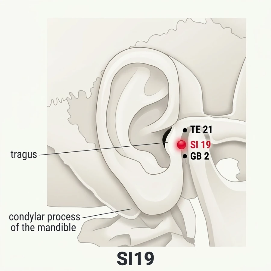 Location of Tinggong (SI-19): The written location is summarised from the classical record; use the landmark named.