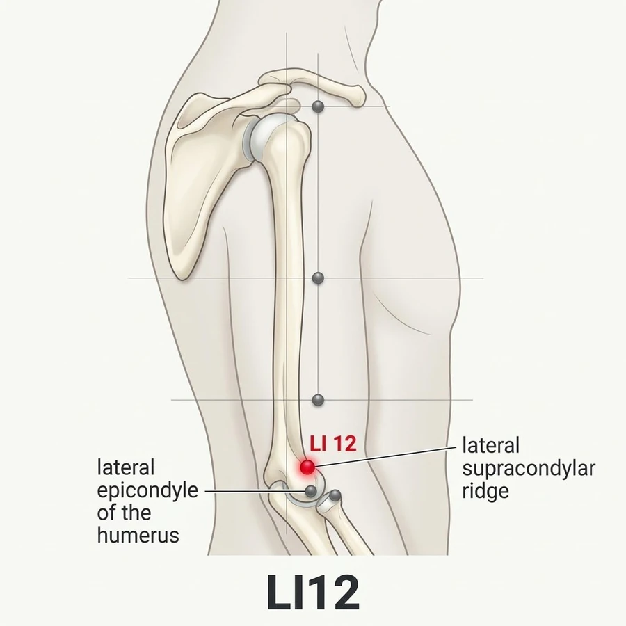 Location of Zhouliao (LI-12): One cun measured from the landmark shown in the diagram and the location text.