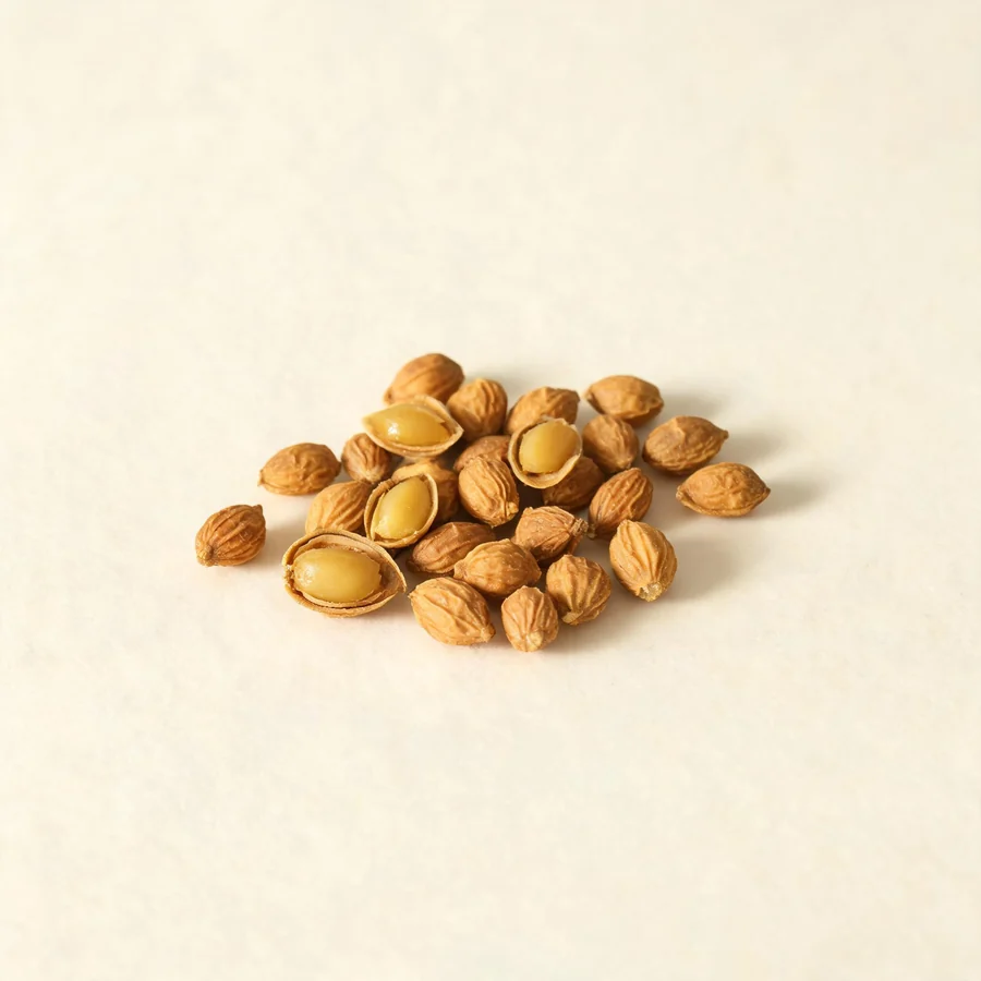 Dried Bai Zi Ren seed arranged in a shallow bowl