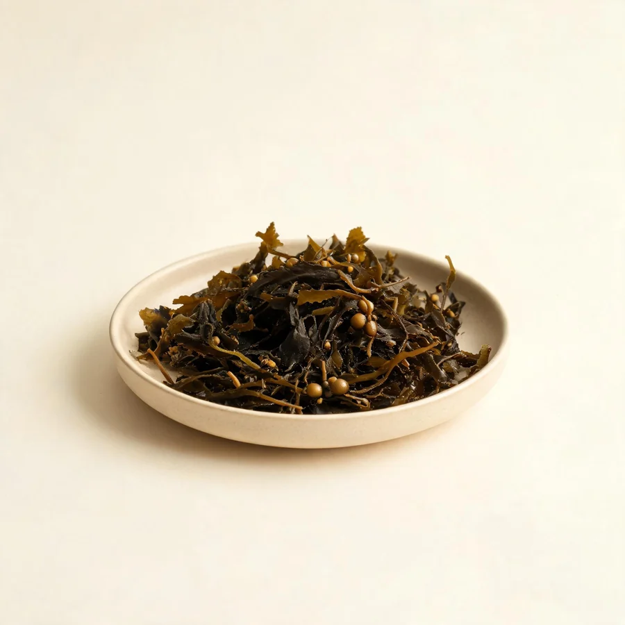 Dried Hai Zao dried thallus arranged in a shallow bowl