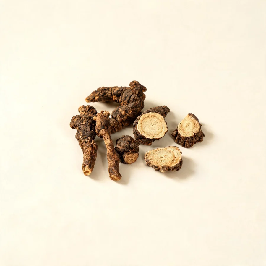 Dried Qiang Huo root and rhizome arranged in a shallow bowl
