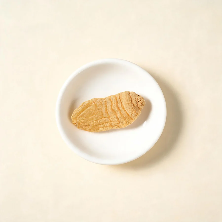 Dried Tian Ma tuber arranged in a shallow bowl